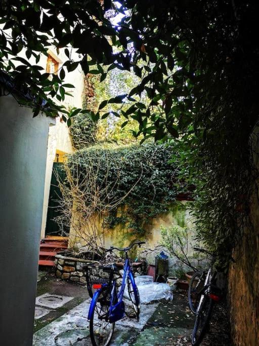 Florentine Style Apartment In San Frediano Florencie Exteriér fotografie